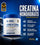Creatina Monohidratada Micronizada Sin Sabor 250gr | Creatina 100% Pura | Applied Nutrition